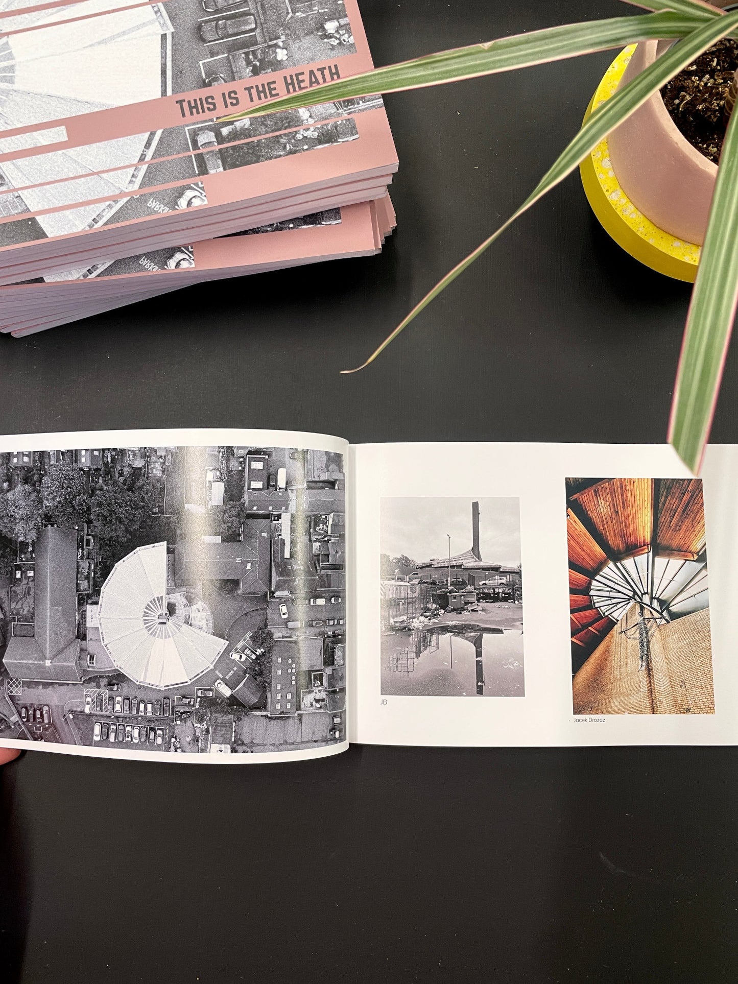 THIS IS THE HEATH • Photobook