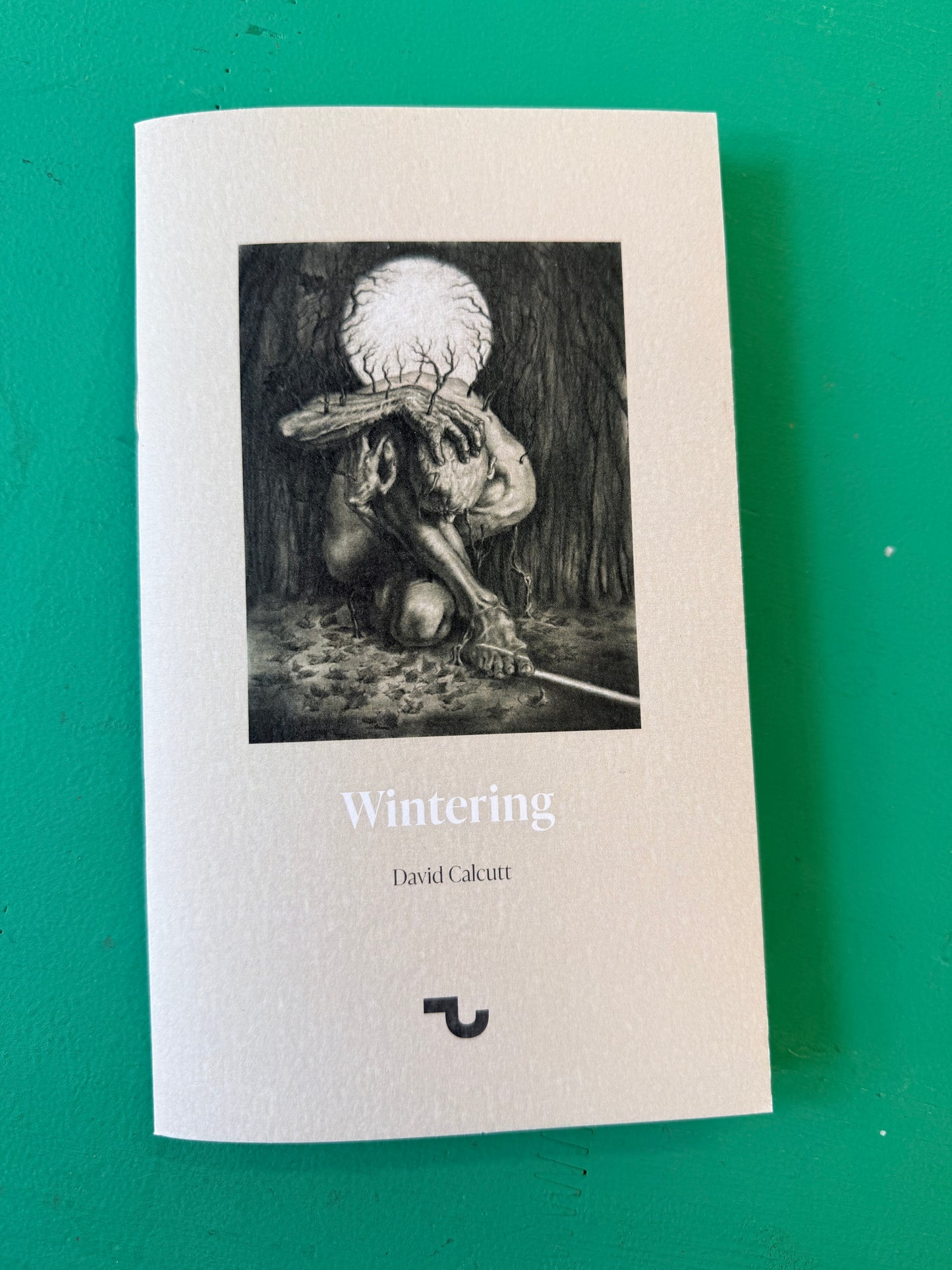 Wintering / David Calcutt