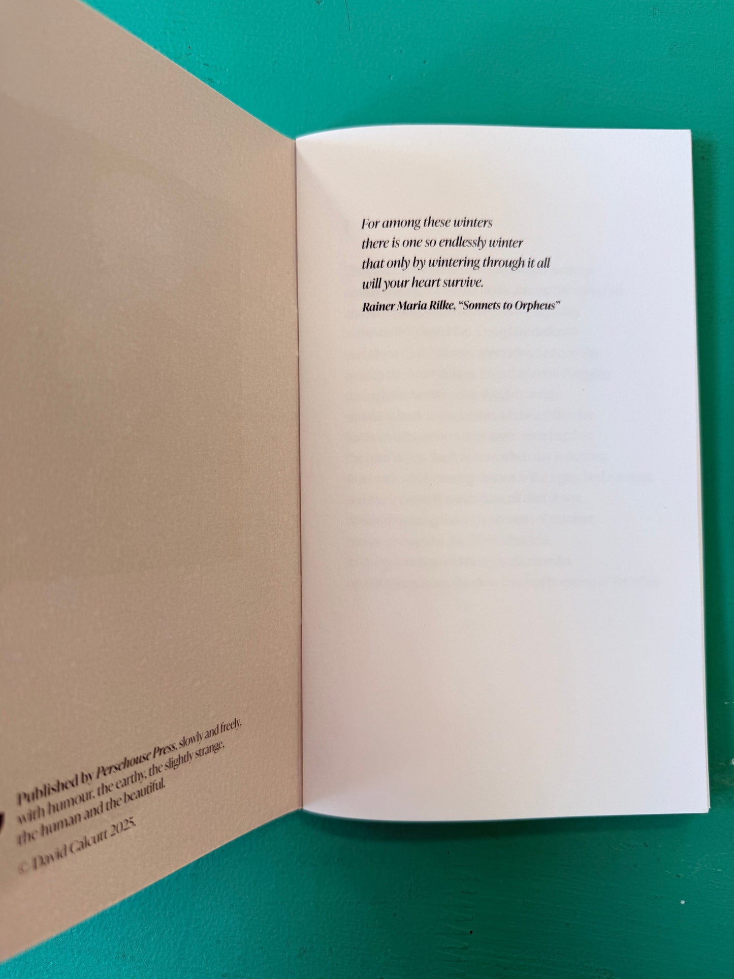 Wintering / David Calcutt