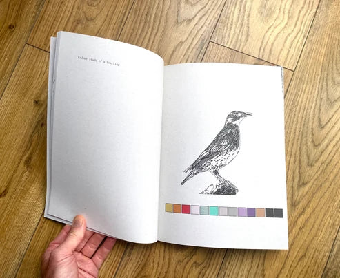 It Started With Starlings / Maps and Diagrams / Chris Snow
