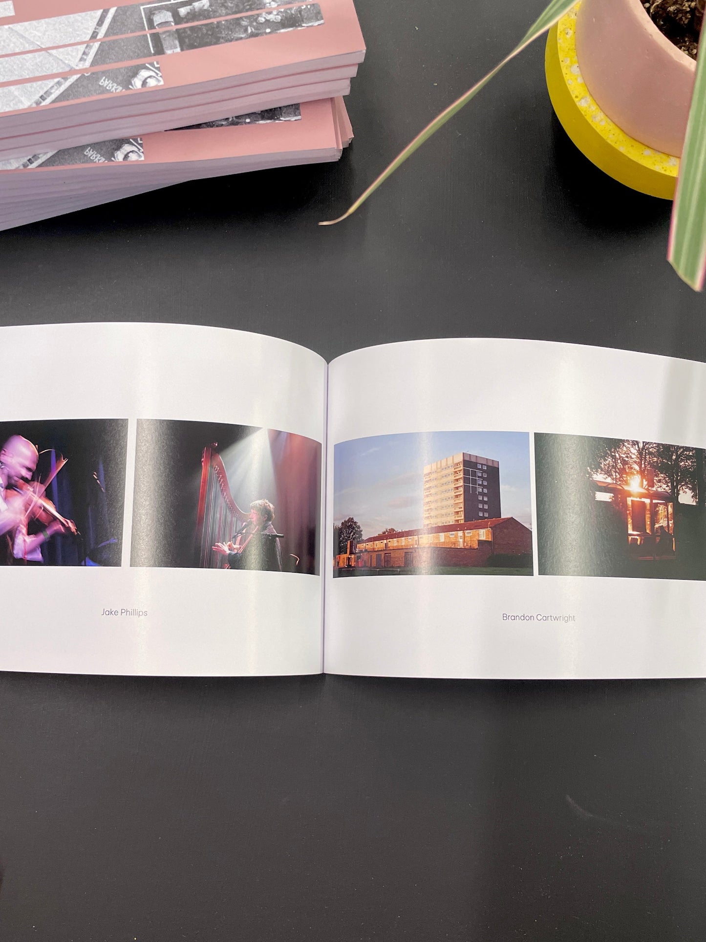 THIS IS THE HEATH • Photobook